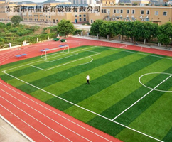 佛山东翔学校塑胶跑道